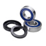 4110045.jpg KIT CUSCINETTI PER RUOTA (RIF. ALL-BALLS: 25-1406)