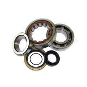 4110228.jpg KIT CUSCINETTI E PARAOLIO PER ALBERO MOTORE ALL-BALLS (RIF: 24-1106)