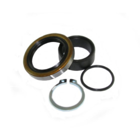 4110274.jpg KIT REVISIONE ALBERO PIGNONE (RIF. ALL-BALLS: 25-4023)