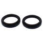 4110661.jpg KIT PARAOLIO FORCELLA ALL-BALLS (RIF: 55-156) 41x54x11 Tipo DRD2