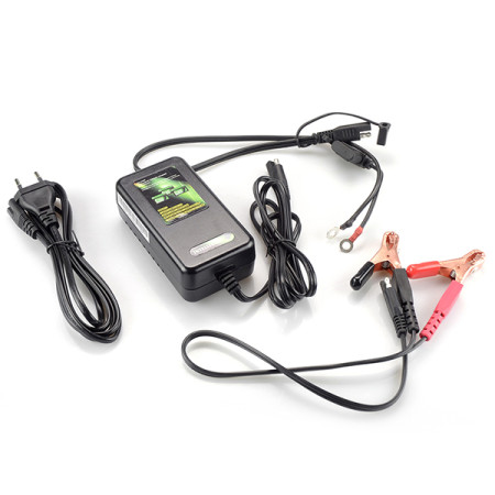 453010_01.jpg CARICABATTERIE SKYRICH PER BATTERIE LITIO 12 VOLT