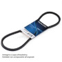 cinghia dayco maranghi.jpg CINGHIA TRAPEZOIDALE 11.5 X 793