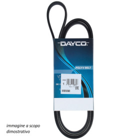 CINGHIA POLY-V cinghia dayco maranghi.jpg CINGHIA POLY-V