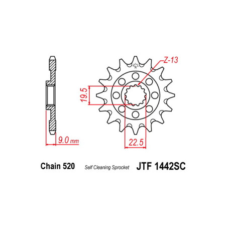 540050213.jpg PIGNONE P520 - Z13 (DIS.00502)