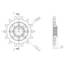 540050313.jpg PIGNONE P520 - Z14 (DIS.00503)