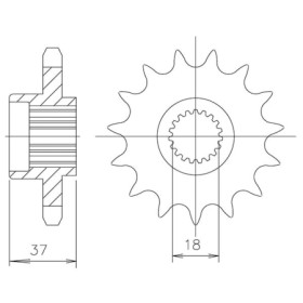 540050817.jpg PIGNONE P520 - Z17 (DIS.00508)