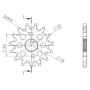 540051115.jpg PIGNONE P420 - Z15 (DIS.00511)