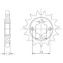 540052114.jpg PIGNONE P520 - Z14 (DIS.00521)