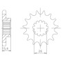 540052516.jpg PIGNONE P525 - Z16 (DIS.00525)