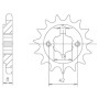 540052714.jpg PIGNONE P520 - Z14 (DIS.00527)