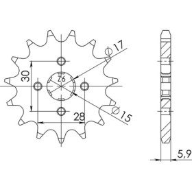 542010113.jpg PIGNONE P420 - Z13 (DIS.20101)