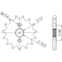 542010815.jpg PIGNONE P428 - Z15 (DIS.20108)