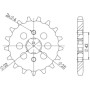 542040015.jpg PIGNONE P530 - Z16 (DIS.20400)