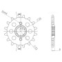 542050013.jpg PIGNONE P520 - Z14 (DIS.20500)