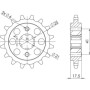 542051314.jpg PIGNONE P525 - Z15 (DIS.20513)