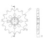 542060014.jpg PIGNONE P630 - Z15 (DIS.20600)