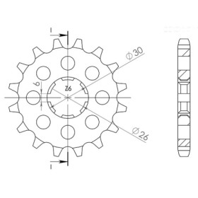 542160017.jpg PIGNONE P530 - Z17 (DIS.21600)