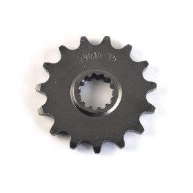 542160615.jpg PIGNONE P525 - Z15 (DIS.21606)