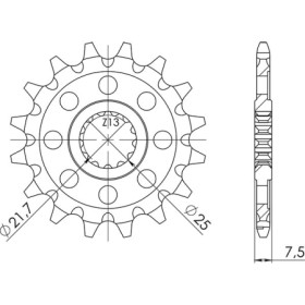 542431213.jpg PIGNONE P520 - Z13 (DIS.24312)