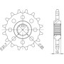 542450614.jpg PIGNONE P525 - Z15 (DIS.24506)