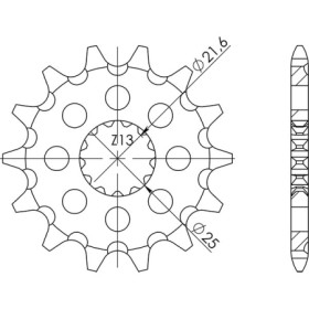 542750013.jpg PIGNONE P520 - Z16 (DIS.27500)