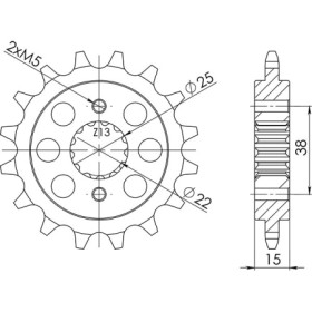 545260715.jpg PIGNONE P520 - Z15 (DIS.52607)