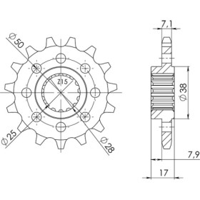 545261515.jpg PIGNONE P525 - Z16 (DIS.52615)