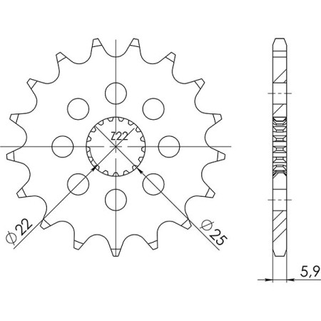 546120113.jpg PIGNONE P520 - Z15 (DIS.61201)