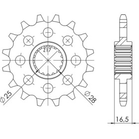 547340016.jpg PIGNONE P525 - Z17 (DIS.73400)