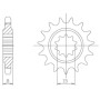 549410012.jpg PIGNONE P415 - Z12 (DIS.94100)