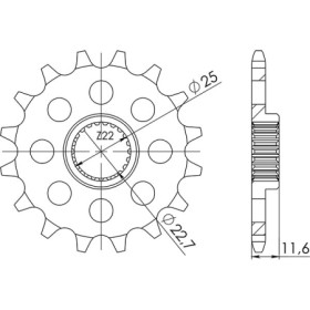 549431811.jpg PIGNONE P520 - Z11 (DIS.94318)