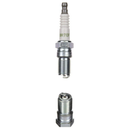 593346.jpg CANDELA NGK BR7EF