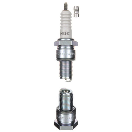 593530.jpg CANDELA NGK B9EG NOTTOLINO SVITABILE