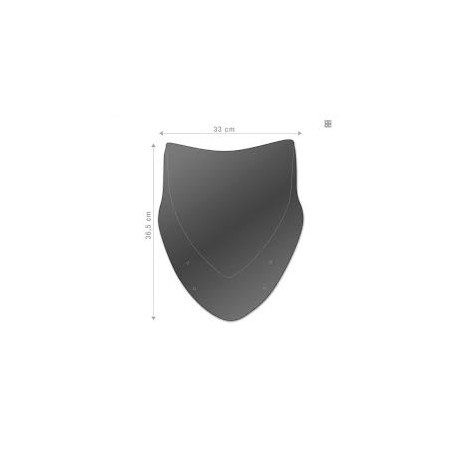 PLEXIGLASS.jpg CUPOLINO GSR 750