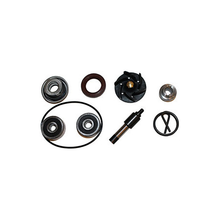 10700401.jpg KIT REV.P/ACQUA PIAGGIO 250/300
