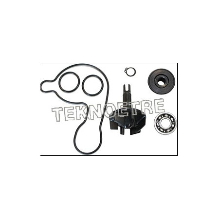 10B74E24500.jpg Revisione pompa acqua kit x-max 300