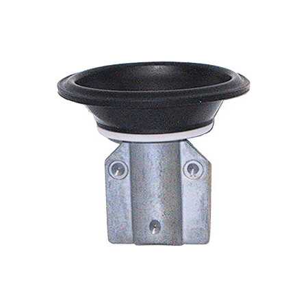 20140301.jpg MEMBRANA CARBURATORE