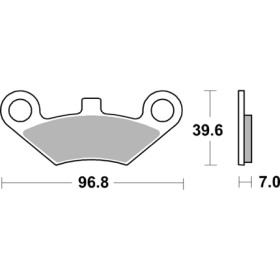 6569143_01.jpg CP. PAST. RSI CF MOTO - GOES