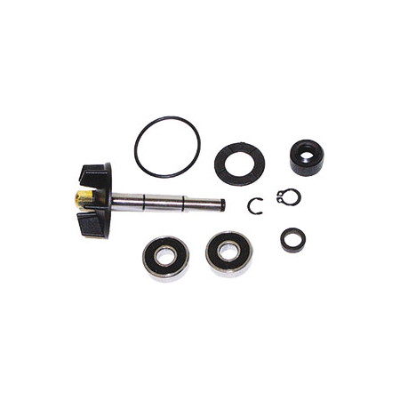 5506062.jpg KIT REVISIONE POMPA ACQUA PIAGGIO 50 2T