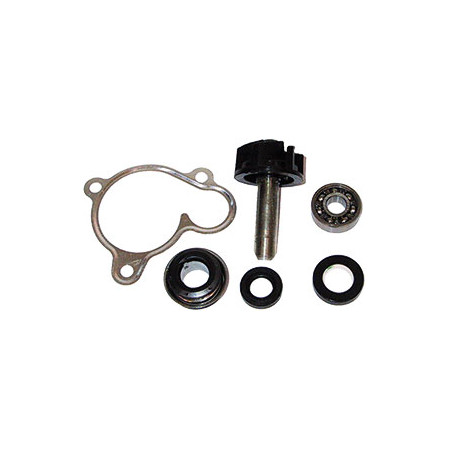 5506504.jpg KIT REV POMPA