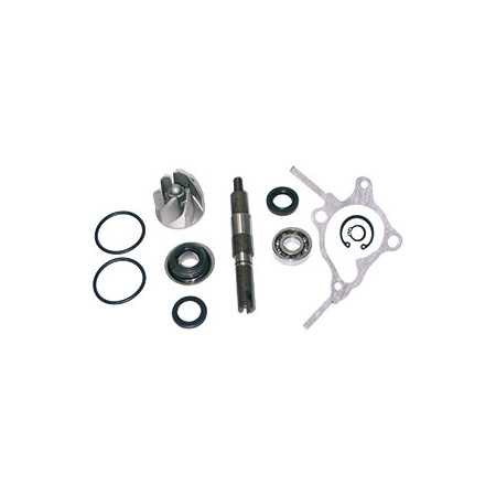 5506508.jpg KIT REV POMPA