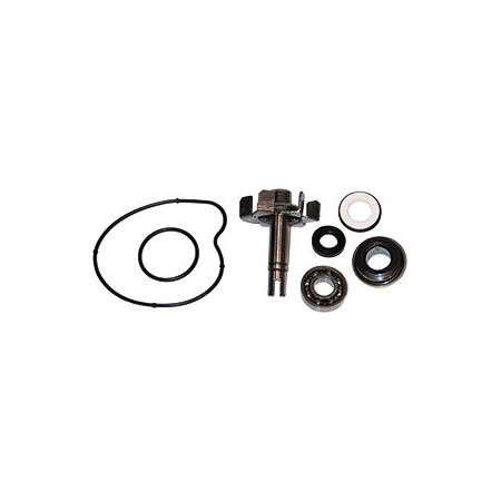 5506528.jpg KIT REVISIONE POMPA ACQUA T-MAX 500