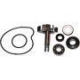 5506528.jpg KIT REVISIONE POMPA ACQUA T-MAX 500