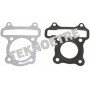 9503G002.jpg PISTONE COMPLETO O PER 9501C002