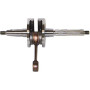 A00200.jpg ALBERO MOT.
