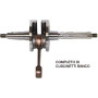A00230K.jpg ALBERO MOTORE