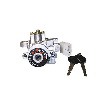 K00490.jpg QUADRO ACCENSIONE