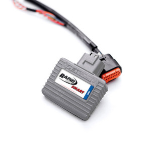 870500.jpg CENTRALINA SMART CON CABLAGGIO (Rif.Rapidbike: K27-SMR-002A)