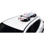 69400042.jpg HUSKI SKI E BOARD - PER SCI E SNOWBOARD