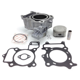 95011021.jpg Cilindro completo honda sh300 2007/2020